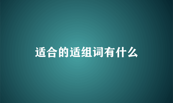 适合的适组词有什么