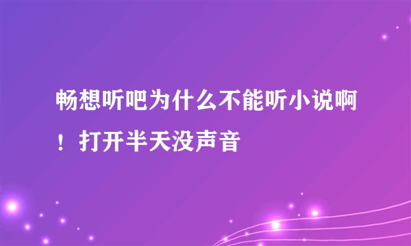 畅想听吧为什么不能听小说啊！打开半天没声音