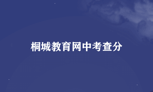 桐城教育网中考查分