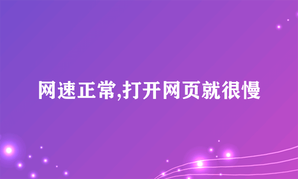 网速正常,打开网页就很慢