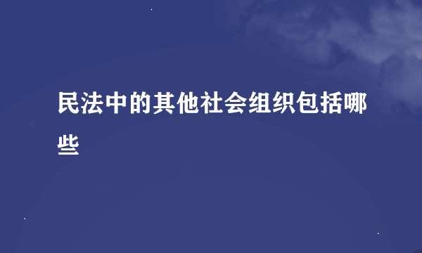 民法中的其他社会组织包括哪些