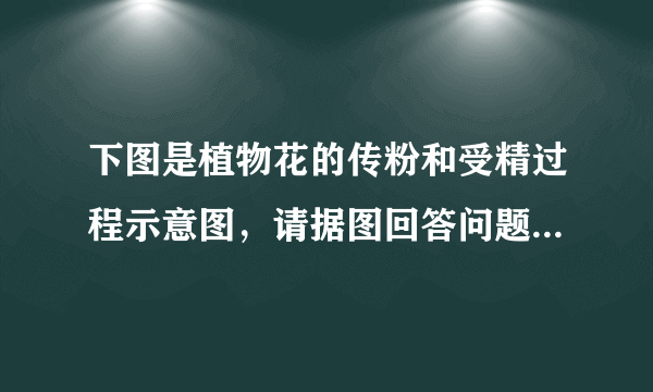 下图是植物花的传粉和受精过程示意图，请据图回答问题：（6分）  ⑴图中A是_______，内含花粉。花粉从图