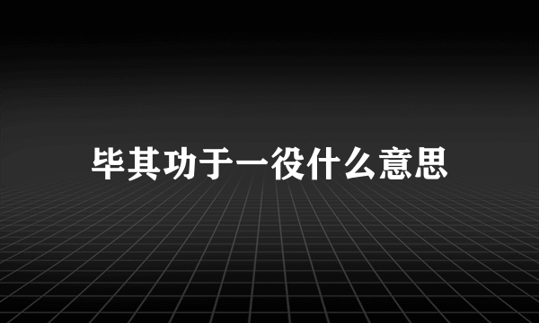 毕其功于一役什么意思