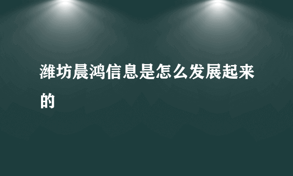 潍坊晨鸿信息是怎么发展起来的