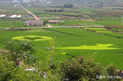 耕地、基本用田和永久基本农田有什么区别？