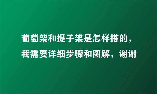 葡萄架和提子架是怎样搭的，我需要详细步骤和图解，谢谢