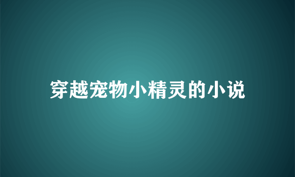 穿越宠物小精灵的小说