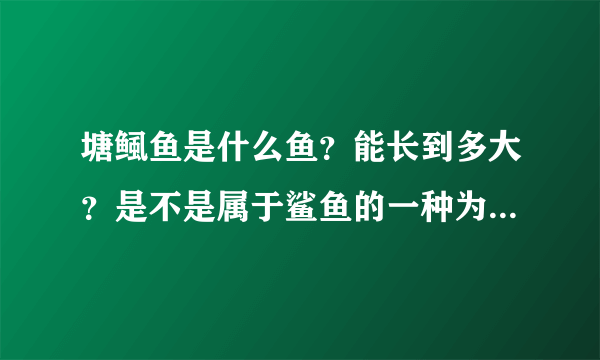 塘鲺鱼是什么鱼？能长到多大？是不是属于鲨鱼的一种为什么塘鲺鱼会吃人？