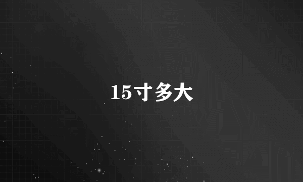 15寸多大