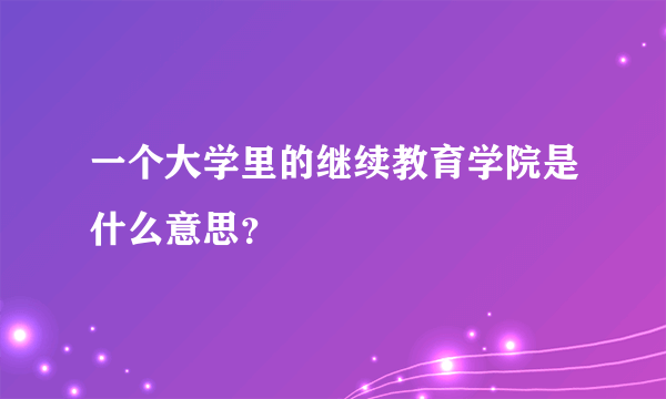 一个大学里的继续教育学院是什么意思？