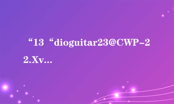 “13“dioguitar23@CWP-22.XviD.avi”(856.60MB)”是什么意思？