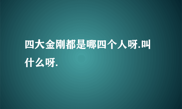 四大金刚都是哪四个人呀.叫什么呀.