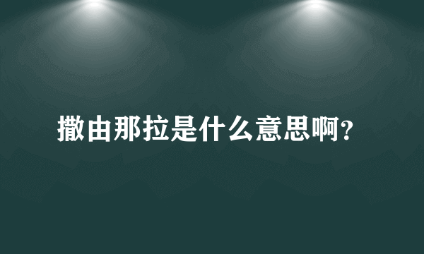 撒由那拉是什么意思啊？