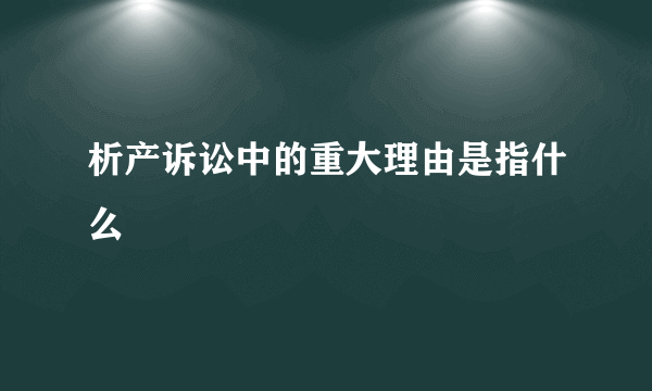 析产诉讼中的重大理由是指什么