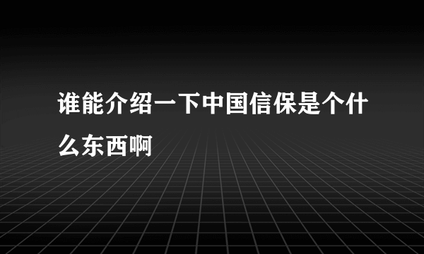 谁能介绍一下中国信保是个什么东西啊