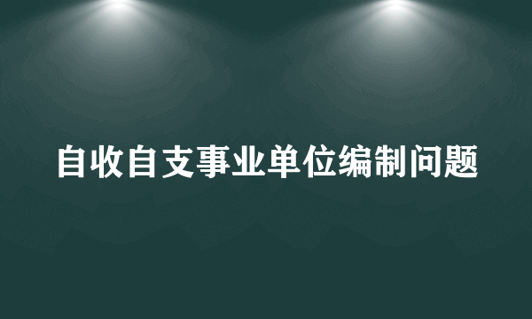 自收自支事业单位编制问题