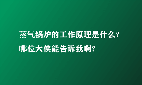 蒸气锅炉的工作原理是什么?哪位大侠能告诉我啊?