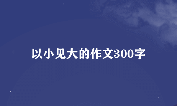 以小见大的作文300字