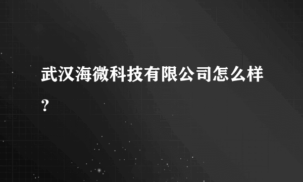 武汉海微科技有限公司怎么样？