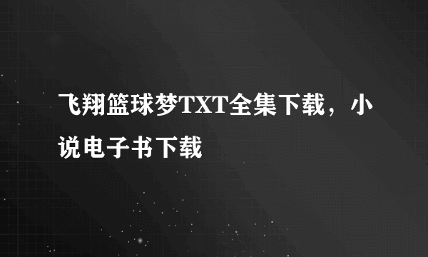 飞翔篮球梦TXT全集下载，小说电子书下载