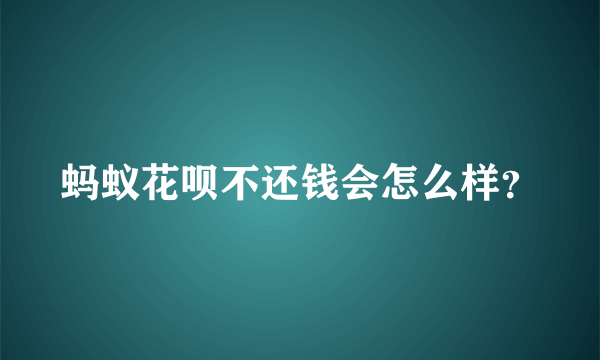 蚂蚁花呗不还钱会怎么样？