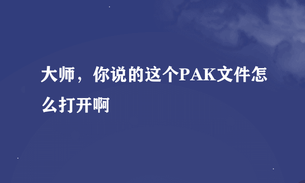 大师，你说的这个PAK文件怎么打开啊