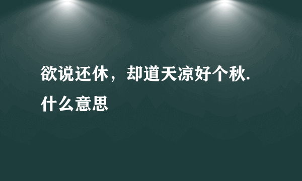 欲说还休，却道天凉好个秋.什么意思