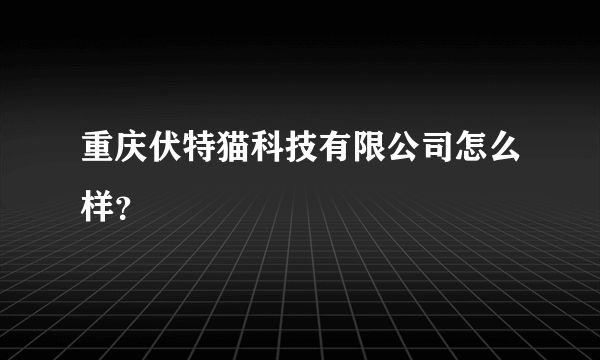 重庆伏特猫科技有限公司怎么样？