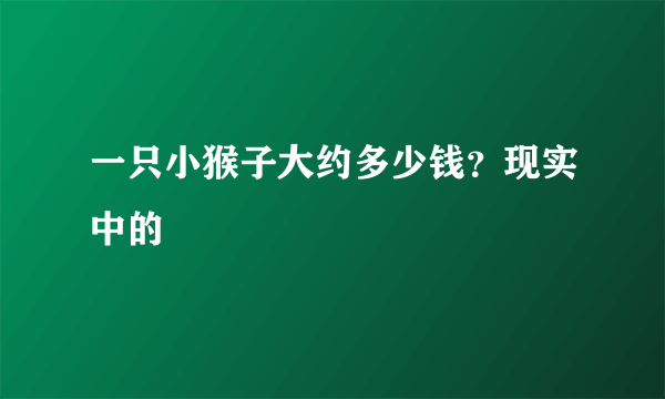 一只小猴子大约多少钱？现实中的