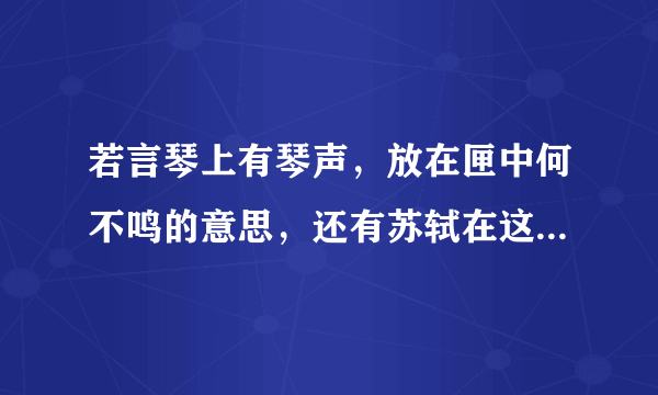 若言琴上有琴声，放在匣中何不鸣的意思，还有苏轼在这首诗中思考的问题是什么？