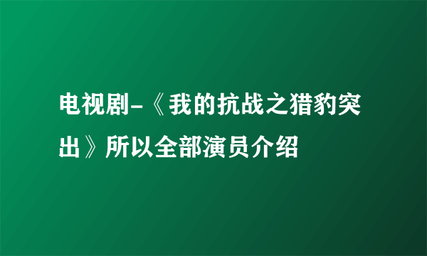 电视剧-《我的抗战之猎豹突出》所以全部演员介绍