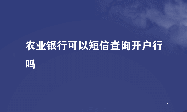 农业银行可以短信查询开户行吗