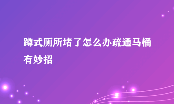 蹲式厕所堵了怎么办疏通马桶有妙招