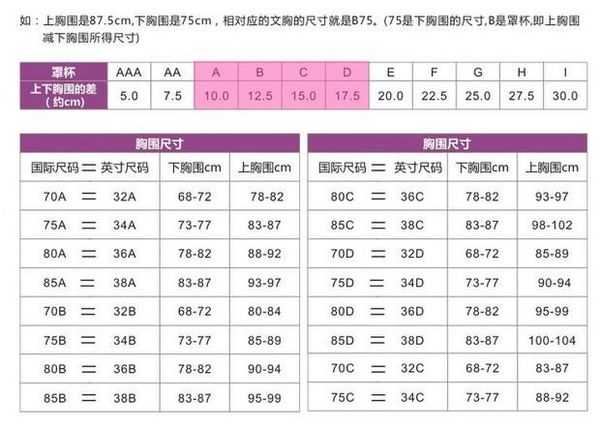 文胸C和D罩的区别是什么？