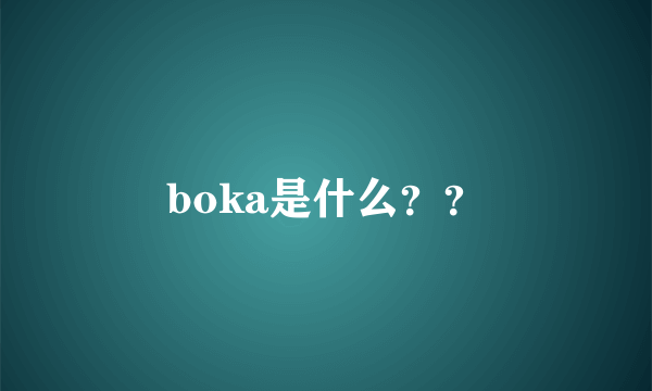 boka是什么？？