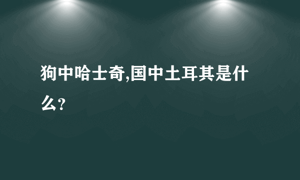 狗中哈士奇,国中土耳其是什么？