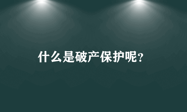 什么是破产保护呢？