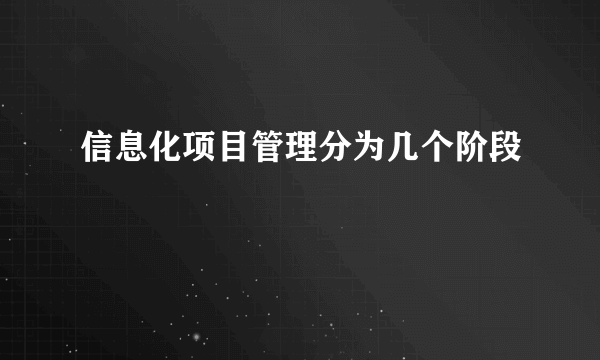 信息化项目管理分为几个阶段