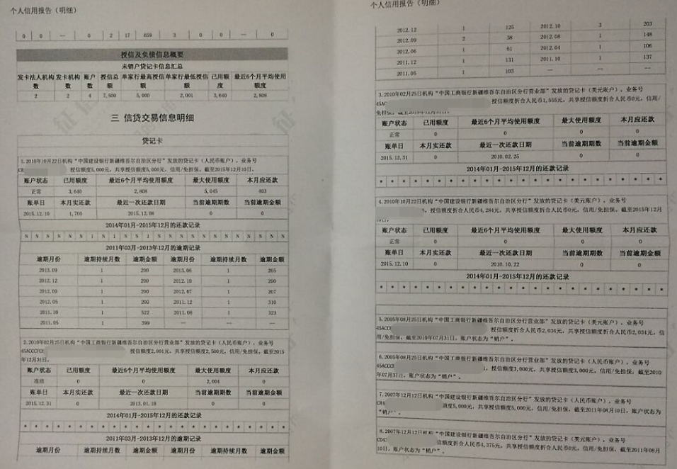 有两笔贷款上了征信,在征信报告上是怎么显示的啊