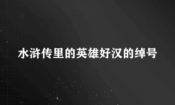 水浒传里的英雄好汉的绰号