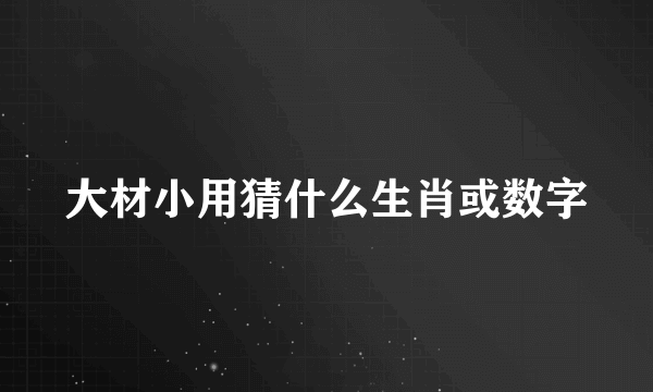 大材小用猜什么生肖或数字