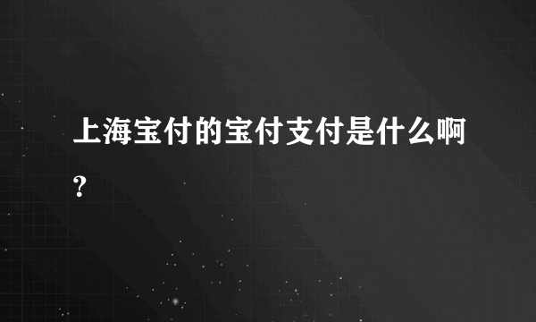 上海宝付的宝付支付是什么啊？