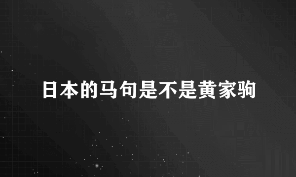 日本的马句是不是黄家驹