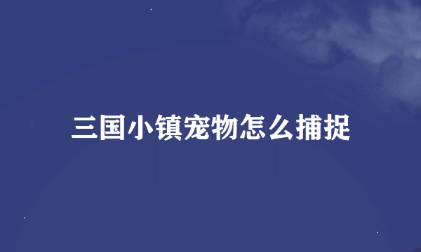 三国小镇宠物怎么捕捉