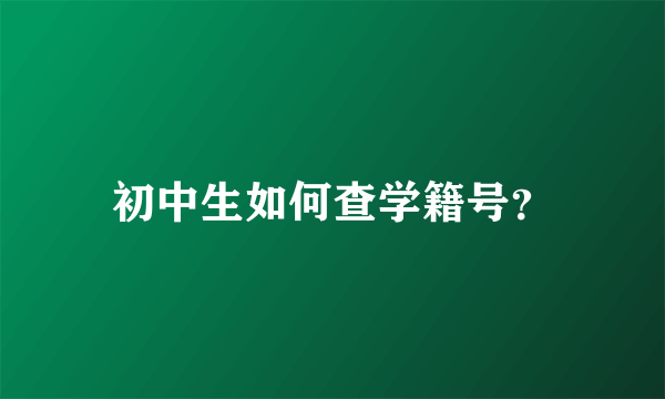 初中生如何查学籍号？