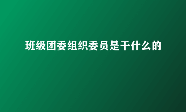 班级团委组织委员是干什么的