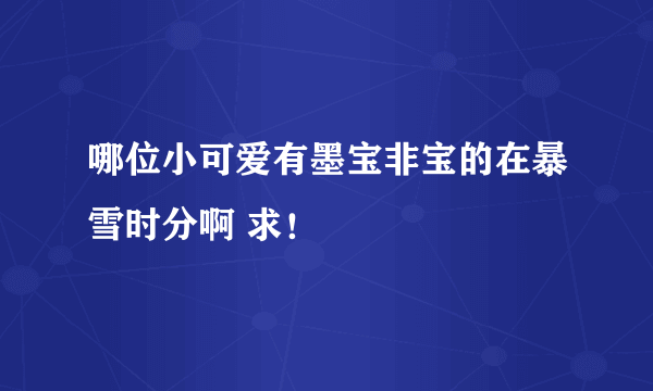 哪位小可爱有墨宝非宝的在暴雪时分啊 求！