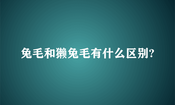 兔毛和獭兔毛有什么区别?