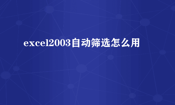 excel2003自动筛选怎么用