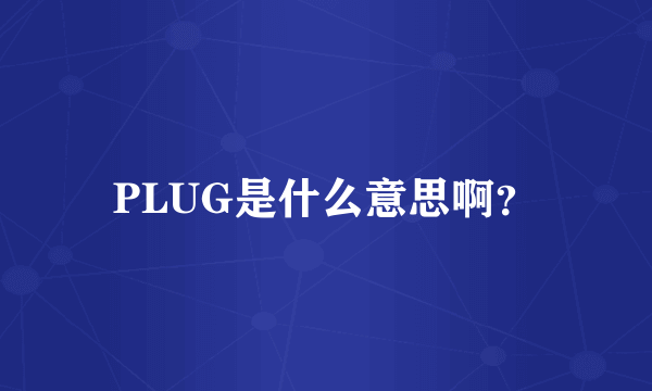 PLUG是什么意思啊？